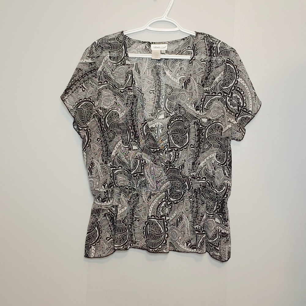 Coldwater Creek Sheer Top - XL